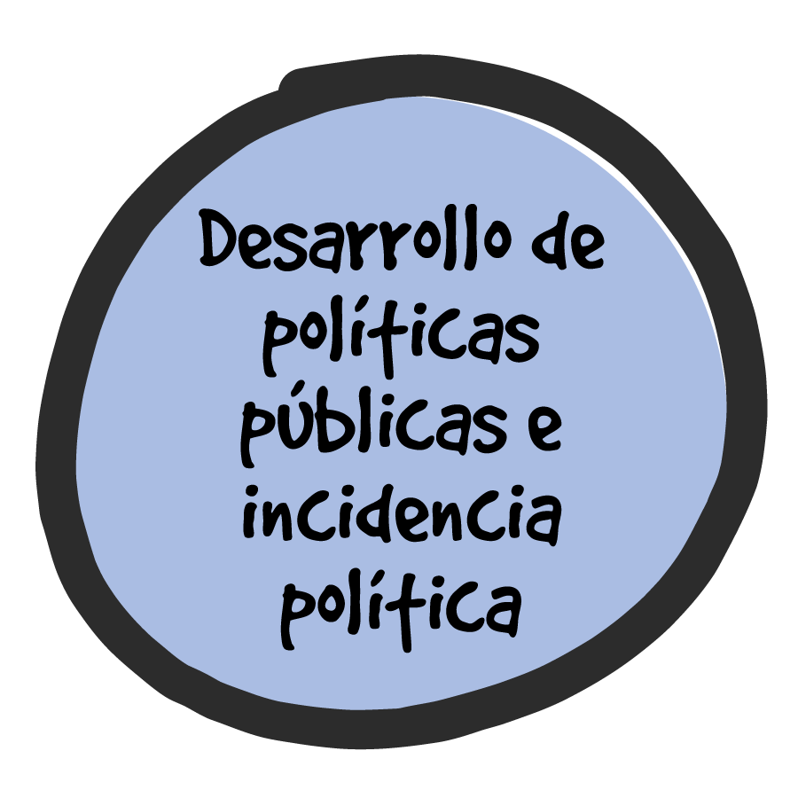 Desarrollo de Políticas Públicas e Incidencia Política